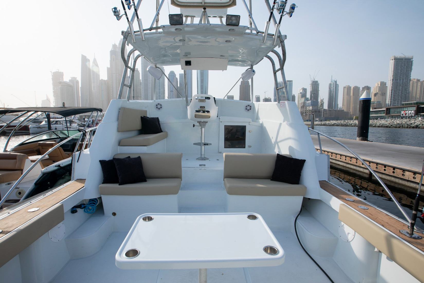 A-Salt Weapon Sport Fishing: view 14