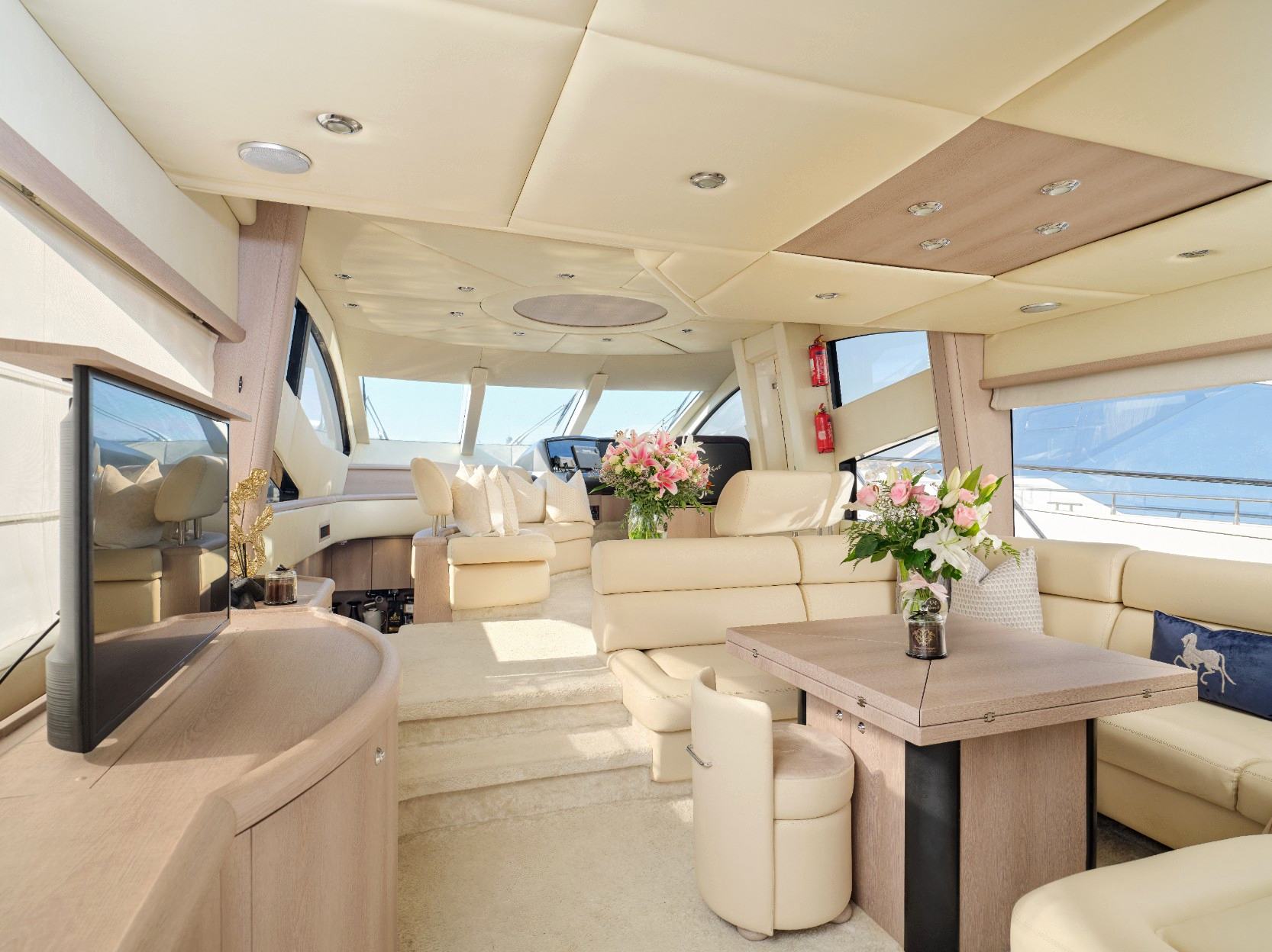Sunseeker Satoshi: view 5