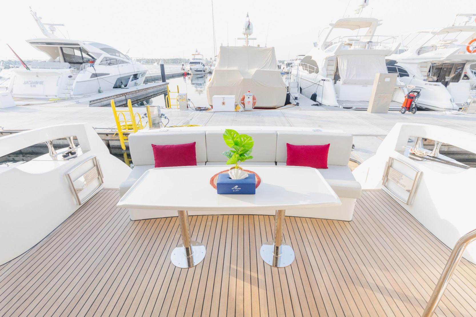 Sky Walker Gib: view 9